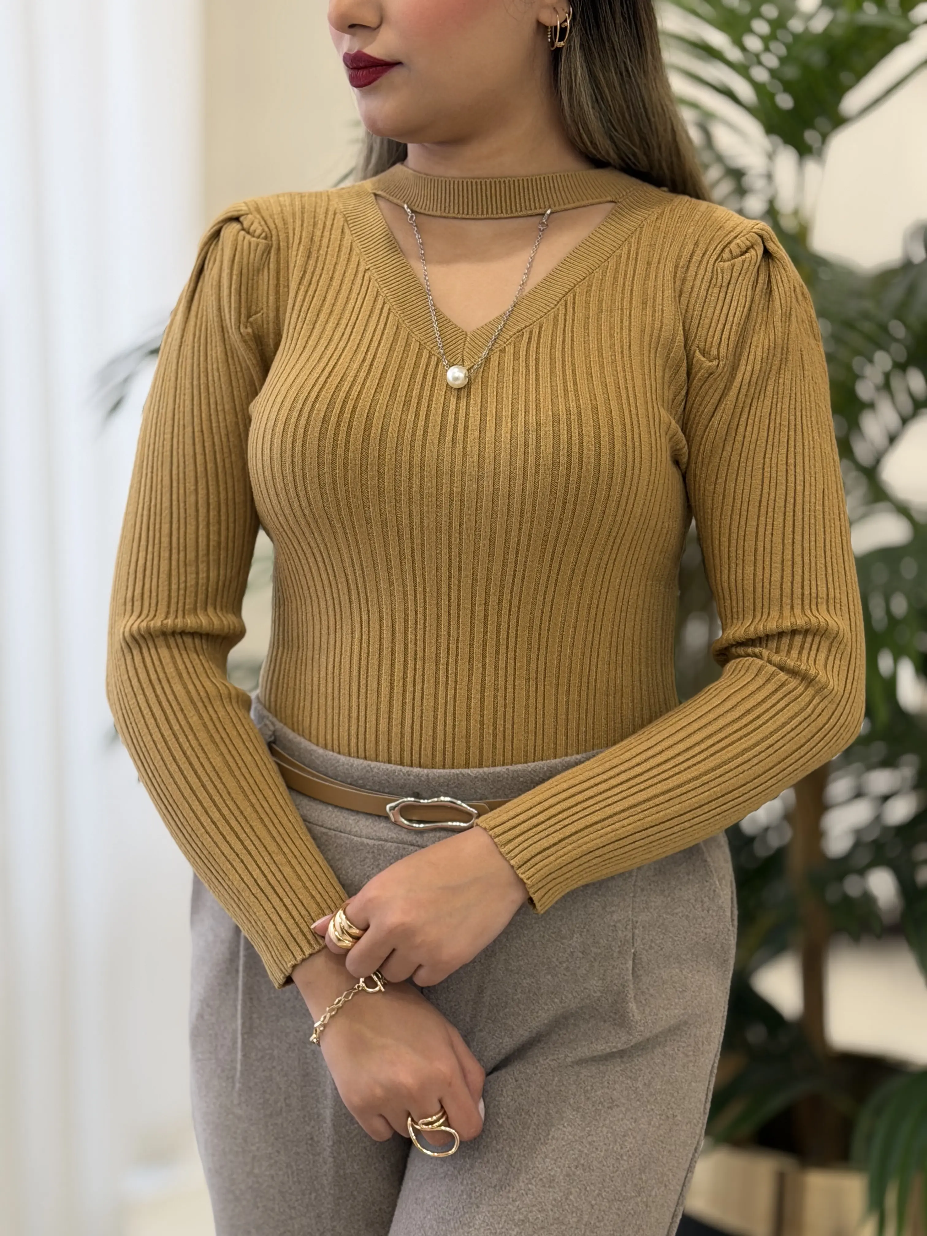 بافت نبات کد2416