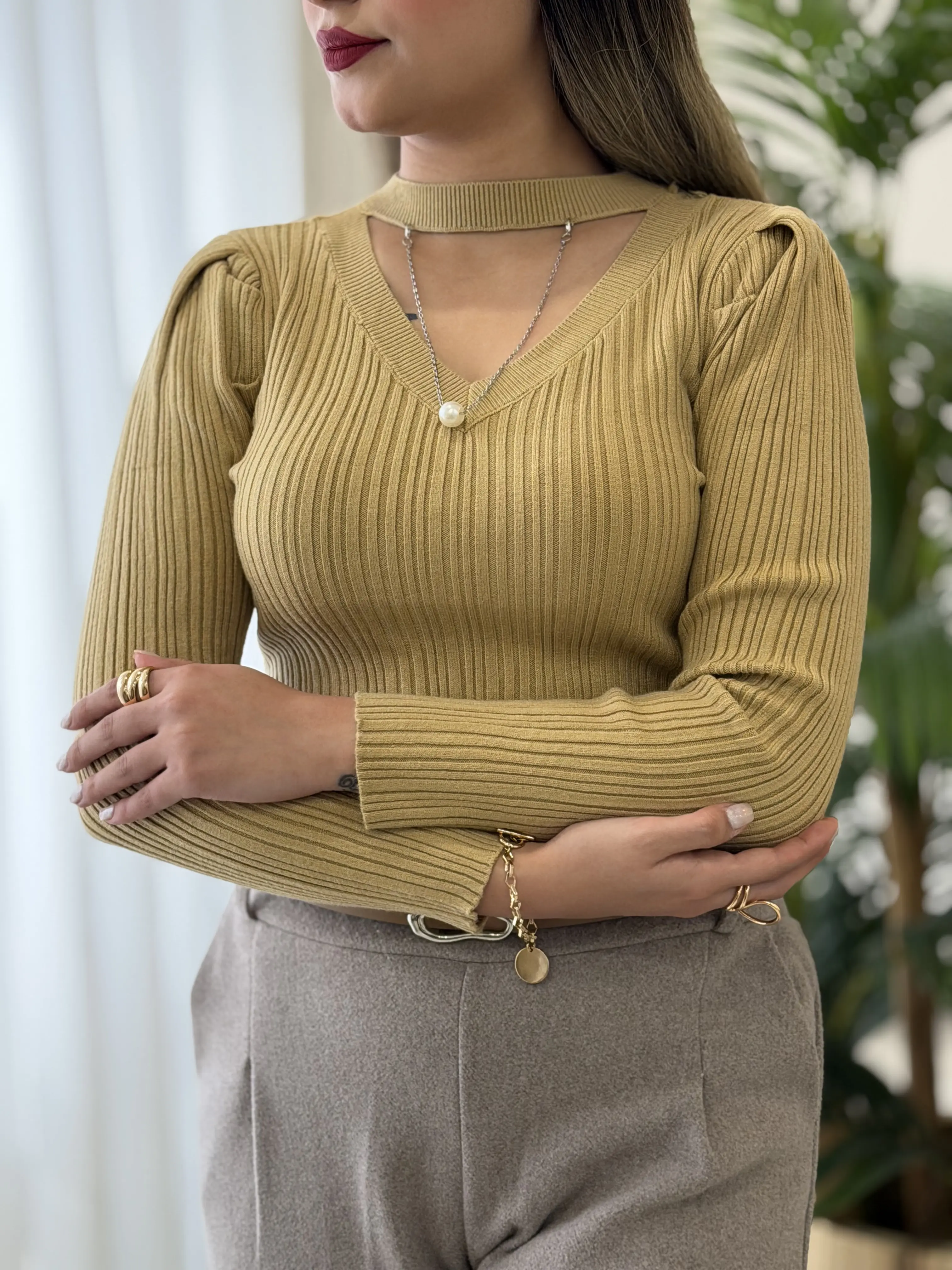 بافت نبات کد2416